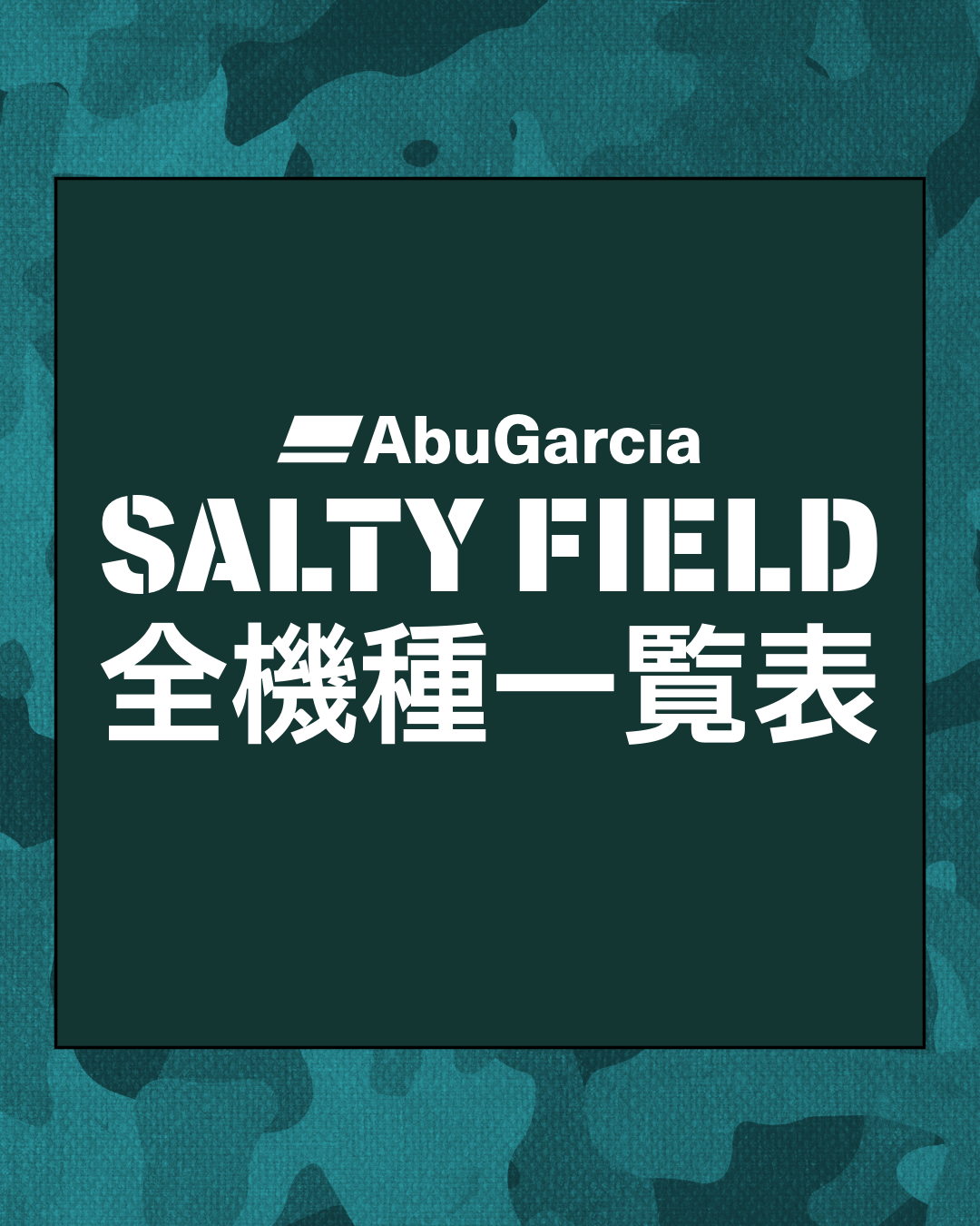 ソルティーフィールド全機種一覧表